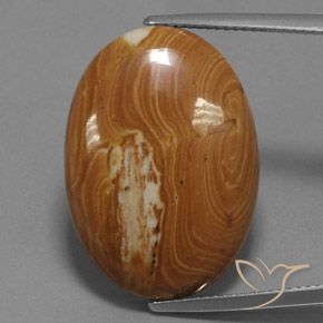 19.27ct 자연스러운 다색 벽옥, 타원형, 불투명체