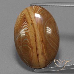 19.54ct 자연스러운 다색 벽옥, 타원형, 불투명체