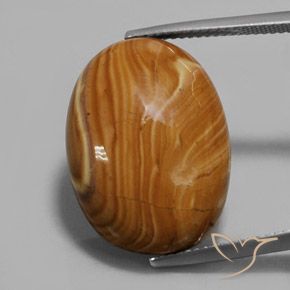 16.90ct 자연스러운 다색 벽옥, 타원형, 불투명체
