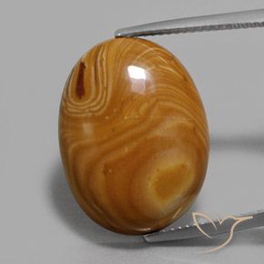 13.26ct 자연스러운 다색 벽옥, 타원형, 불투명체