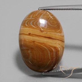 17.22ct 자연스러운 다색 벽옥, 타원형, 불투명체