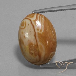 9.73ct 자연스러운 다색 벽옥, 타원형, 불투명체