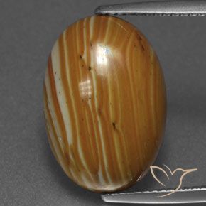 8.92ct 자연스러운 다색 벽옥, 타원형, 불투명체