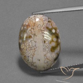 13.22ct 자연스러운 다색 벽옥, 타원형, 불투명체