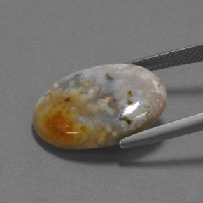 12.16캐럿 천연 다색 벽옥, 타원형 컷, 불투명체