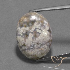 15.55ct 자연스러운 다색 벽옥, 타원형, 불투명체