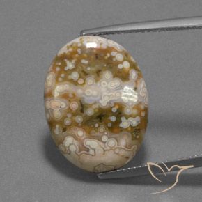 12.13ct 자연스러운 다색 벽옥, 타원형, 불투명체