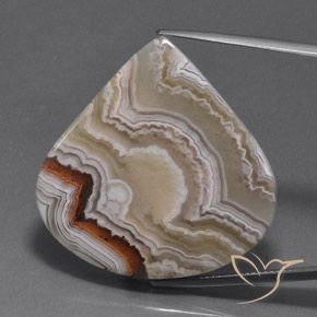 39.03ct 자연스러운 다색 벽옥, 배 모양, 불투명체