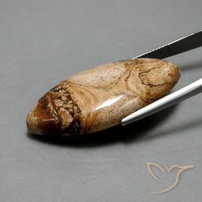 41.94캐럿 천연 다색 벽옥, 보석, 불투명체
