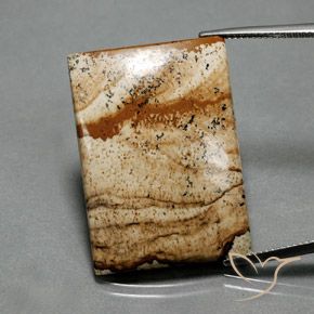 33.84ct 자연스러운 다색 벽옥, 바게트, 불투명체