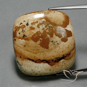 40.24ct 자연스러운 다색 벽옥, 방석, 불투명체