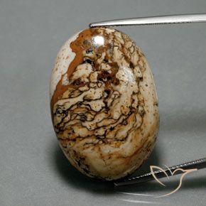 37.73ct 자연스러운 다색 벽옥, 타원형, 불투명체