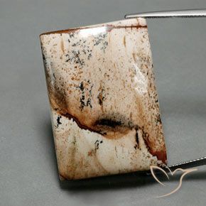 55.92ct 자연스러운 다색 벽옥, 바게트, 불투명체