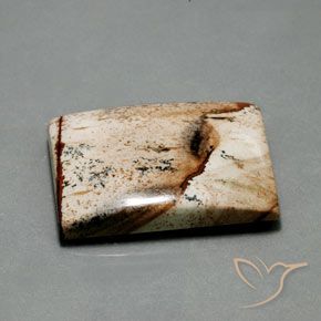 55.92캐럿 천연 다색 벽옥, 바게트, 불투명체