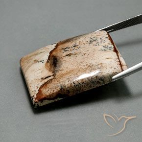 55.92캐럿 천연 다색 벽옥, 바게트, 불투명체