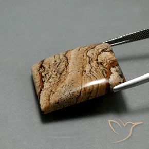32.75캐럿 천연 다색 벽옥, 바게트, 불투명체