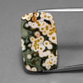 18.21캐럿 천연 멀티컬러 재스퍼, 쿠션 컷, 24.3×14.8 mm, 불투명체