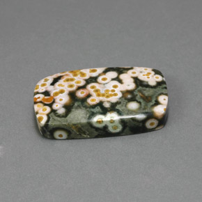 18.21캐럿 천연 멀티컬러 재스퍼, 쿠션 컷, 24.3×14.8 mm, 불투명체