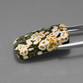 18.21캐럿 천연 멀티컬러 재스퍼, 쿠션 컷, 24.3×14.8 mm, 불투명체