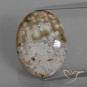 12.72ct 자연스러운 다색 벽옥, 타원형, 불투명체