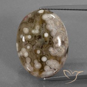 12.50ct 자연스러운 다색 벽옥, 타원형, 불투명체