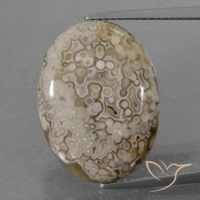 12.43ct 자연스러운 다색 벽옥, 타원형, 불투명체