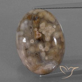 15.78ct 자연스러운 다색 벽옥, 타원형, 불투명체