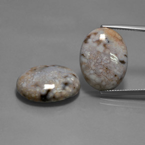 28.35캐럿 천연 멀티컬러 재스퍼 보석, 타원형 컷, 20×15.2 mm, 불투명체