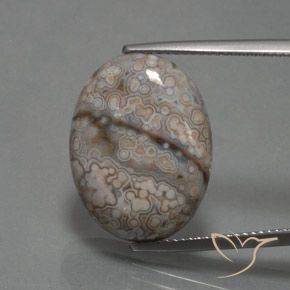 12.39ct 자연스러운 다색 벽옥, 타원형, 불투명체