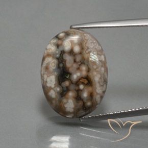 12.87ct 자연스러운 다색 벽옥, 타원형, 불투명체