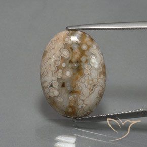 11.83ct 자연스러운 다색 벽옥, 타원형, 불투명체