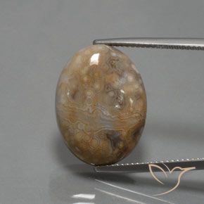 15.30ct 자연스러운 다색 벽옥, 타원형, 불투명체