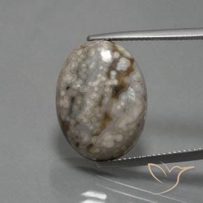 14.48ct 자연스러운 다색 벽옥, 타원형, 불투명체