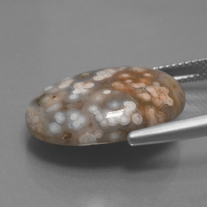 12.17캐럿 천연 다색 벽옥, 타원형 컷, 불투명체