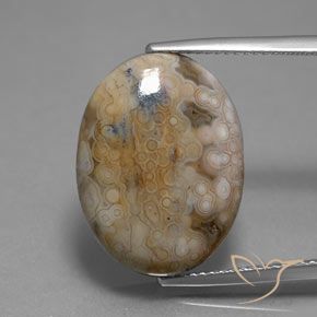 13.80ct 자연스러운 다색 벽옥, 타원형, 불투명체