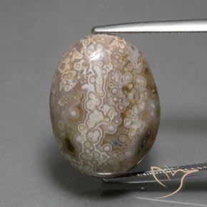 15.26ct 자연스러운 다색 벽옥, 타원형, 불투명체