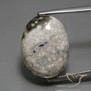 18.17ct 자연스러운 다색 벽옥, 타원형, 불투명체