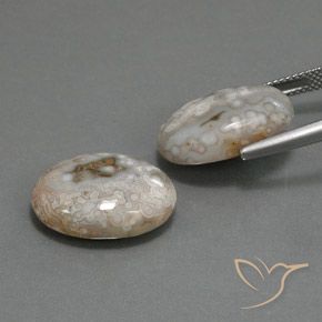 18.63캐럿 천연 다색 벽옥 보석, 타원형, 불투명체