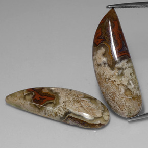 캐럿 천연 멀티컬러 재스퍼 보석, 멋진 모양, 36.2×12.9 mm, 불투명체