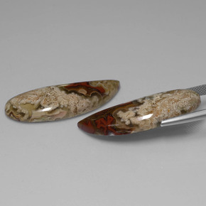 캐럿 천연 멀티컬러 재스퍼 보석, 멋진 모양, 36.2×12.9 mm, 불투명체
