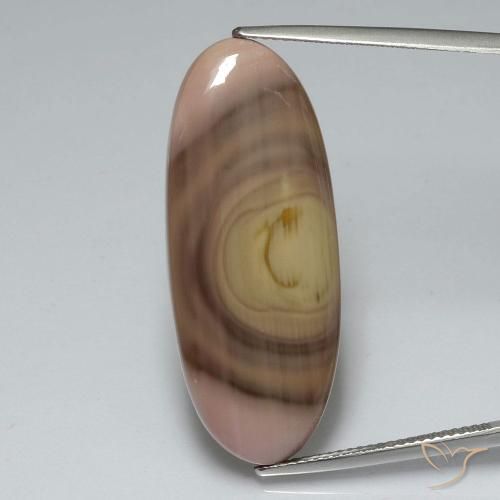 17.33ct 자연스러운 다색 벽옥, 타원형, 불투명체