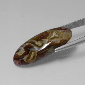 13.46캐럿 천연 다색 벽옥, 타원형 컷, 불투명체