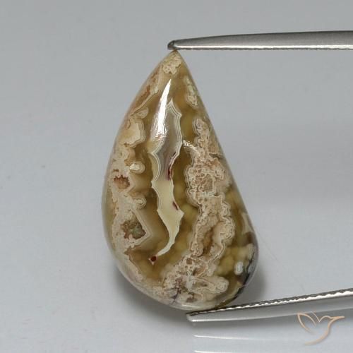 11.24ct 자연스러운 다색 벽옥, 팬시한, 불투명체