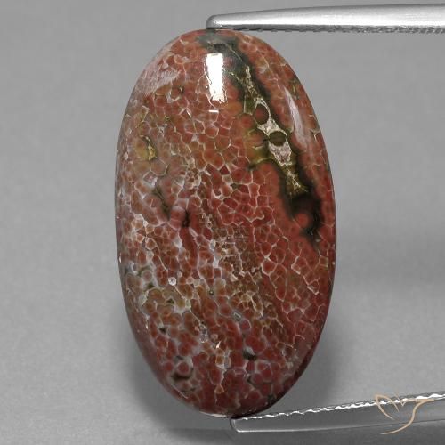 9.98ct 자연스러운 다색 벽옥, 타원형, 불투명체