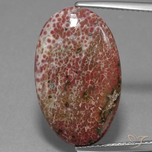11.71ct 자연스러운 다색 벽옥, 타원형, 불투명체