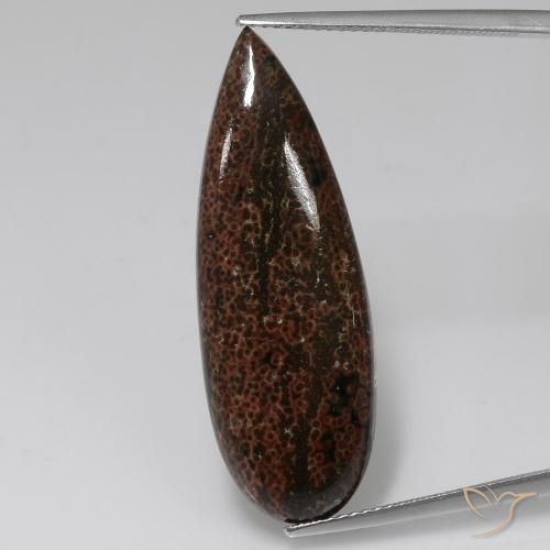 12.43ct 자연스러운 다색 벽옥, 배 모양, 불투명체