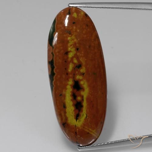 16.54ct 자연스러운 다색 벽옥, 타원형, 불투명체