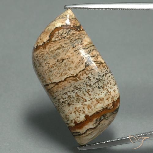27.45ct 자연스러운 다색 벽옥, 팬시한, 불투명체