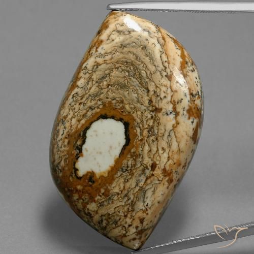 47.70ct 자연스러운 다색 벽옥, 팬시한, 불투명체