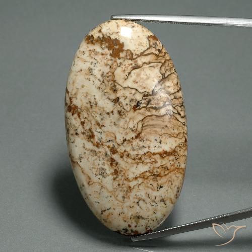 44.26ct 자연스러운 다색 벽옥, 타원형, 불투명체